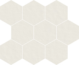 Tint Unit mosaïque hexagonale bianco 10x10cm