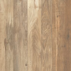 Oak DOGA (20mm)